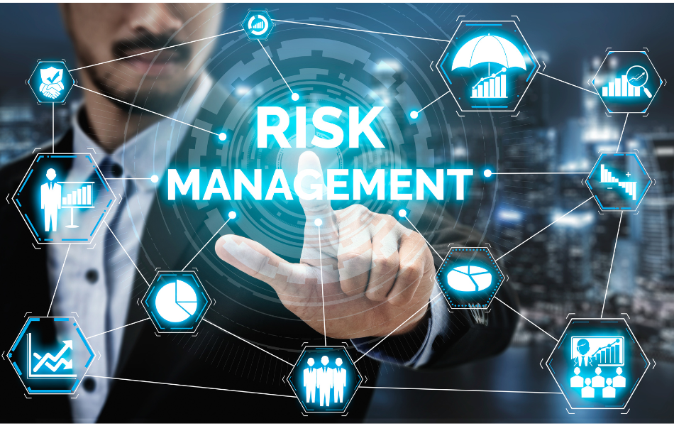 Risk Assessments as a Service, Risk Management